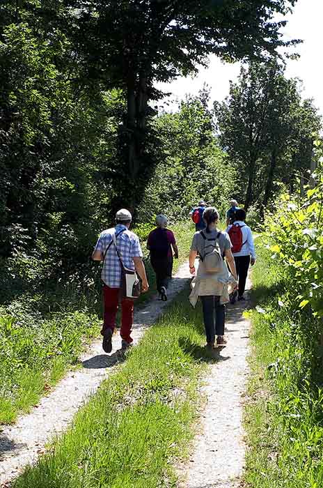 Aiello, die vier Wege der Mühlen