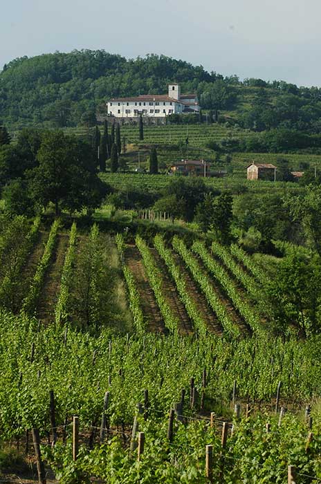 3rd route: Collio hills: Corno di Rosazzo, Ruttars, Medana, Cormòns, Medea